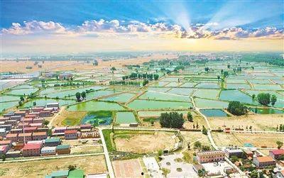 九堡吃瓜,揭秘网红美食背后的故事