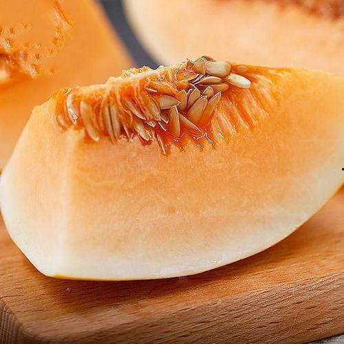 农村人吃黄金蜜瓜视频,黄金蜜瓜视频走红网络