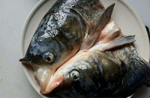 带你吃瓜鱼头馆,带你走进带你吃瓜鱼头馆的独特风味之旅