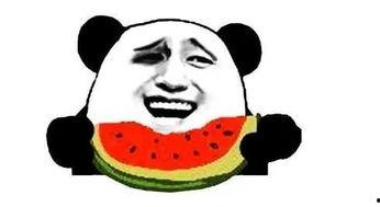 小呆吃瓜,揭秘娱乐圈那些不为人知的幕后故事