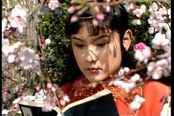 贾宝玉在红楼梦中吃瓜,贾宝玉的红楼瓜趣