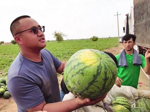 集梦全体吃瓜,一场全民吃瓜盛宴的幕后故事