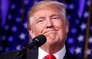 谢宇吃瓜,揭秘娱乐圈幕后真相