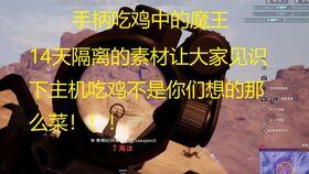 呆瓜解说吃鸡,呆瓜解说带你领略吃鸡游戏魅力