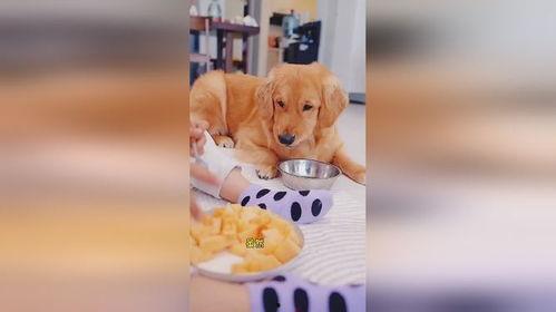 佛系吃瓜的懒人,懒人生活的悠闲态度