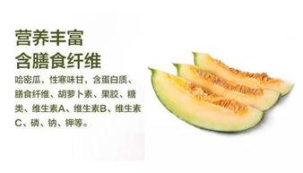 哈密去哪里吃瓜,探寻新疆哈密的特色瓜果美食之旅