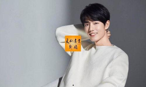 吃瓜会长肖战,肖战现象背后的文化现象解析