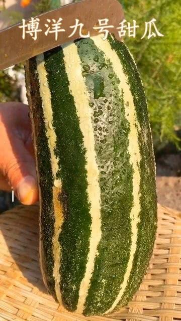 产妇可以吃熟瓜吗,产妇适宜食用的熟瓜种类解析