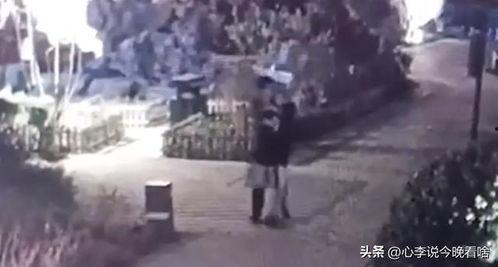 曹县吃瓜完整视频,一场网络狂欢背后的真相揭秘