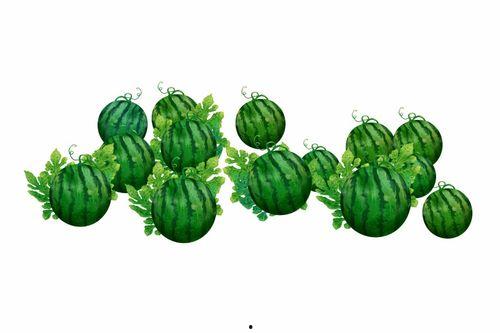 阿雾吃瓜,揭秘娱乐圈那些不为人知的幕后故事