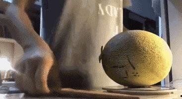 带你吃瓜搞笑飞机,揭秘搞笑飞机背后的趣味故事