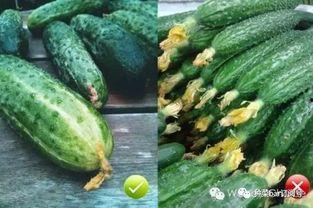 花花吃小瓜,一场甜蜜的美食邂逅