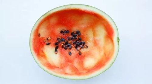 吃大瓜勺子,揭秘美食背后的故事与传奇