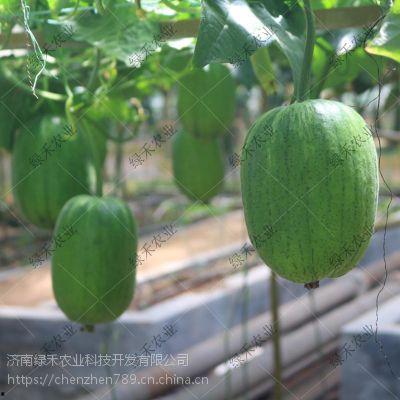 苹果15吃瓜,科技巨头的新瓜，揭秘背后的秘密与期待