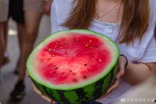 吃瓜师范,揭秘校园里的那些“瓜”