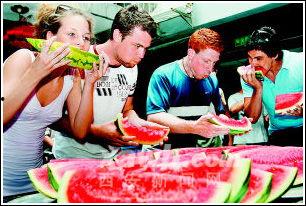 老外正确吃瓜,揭秘国际美食文化中的瓜果盛宴