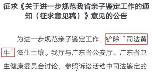 鉴定完毕男主吃瓜