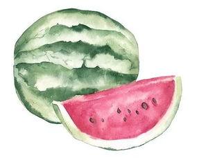 不同工具吃瓜,揭秘不同工具的吃瓜技巧与乐趣