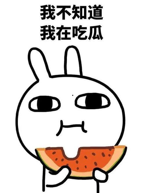 蒙眼转圈寻瓜吃瓜,趣味盎然的转圈吃瓜盛宴