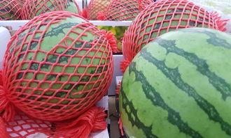 吃瓜设备,科技赋能下的新型休闲体验