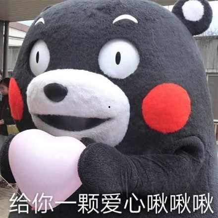 呆呆鱼吃瓜,揭秘网络热点的趣味解读