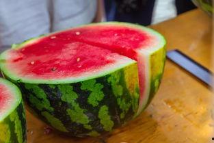 赤峰学院教室吃瓜,赤峰学院教室里的“瓜田”奇遇记