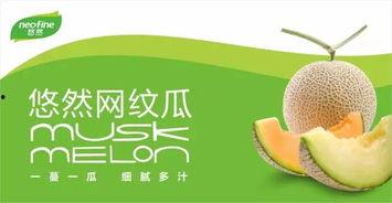 悠闲吃瓜群众,揭秘娱乐圈幕后故事