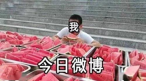 待寝吃瓜人,揭秘娱乐圈幕后故事