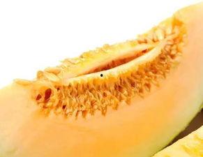 楼兰蜜瓜怎么吃,尽享夏日甜蜜滋味