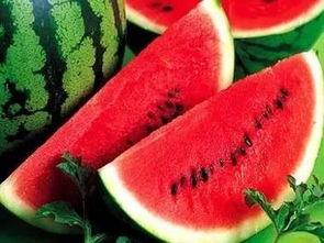 吃瓜头前后摇,揭秘网络热词背后的趣味与思考