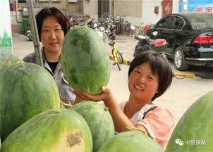 曹县小区吃瓜,揭秘邻里纷争背后的真相