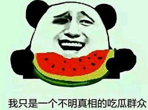 余庆伟吃瓜群众,吃瓜群众的视角，揭秘娱乐圈风云