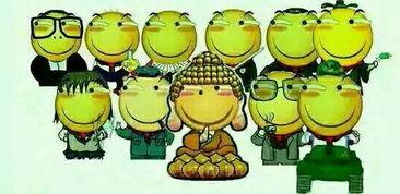 太康吃瓜群众是谁