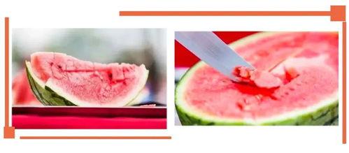 沙河翡翠城吃瓜