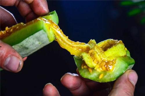 羊角瓜可以吃皮,美味与营养的双重享受