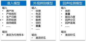 吃瓜模型搭建,网络时代下的舆论风向标