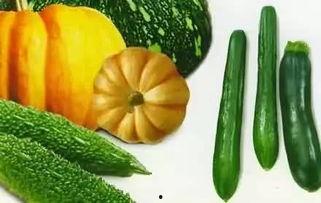 济宁接庄吃瓜,夏日炎炎，瓜香四溢的休闲时光