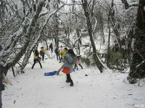 江堰滑雪吃瓜事件,一场意外引发的舆论风波