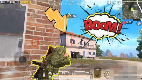 呆瓜熊吃鸡,呆瓜熊的欢乐吃鸡之旅