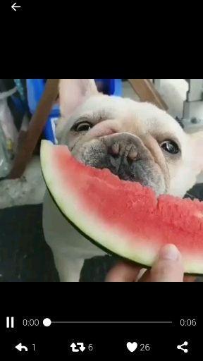 国人的吃瓜心理,吃瓜群众背后的心理探秘