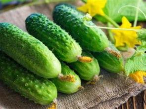 吃瓜还是得吃口感好的,揭秘吃瓜界的口感盛宴