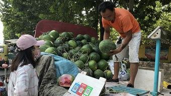 济宁理工吃瓜,吃瓜群众揭秘校园热点事件