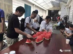 大型吃瓜群众图片