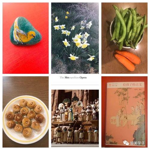 六安疫情吃瓜,吃瓜群众视角下的防疫战记