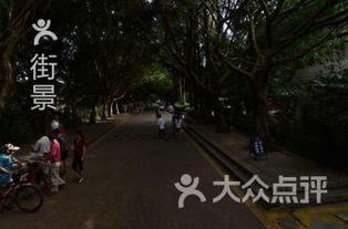 东湖公园吃瓜,悠闲时光里的甜蜜回忆