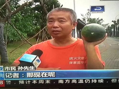 巴东吃瓜热点事件,一场网络狂欢背后的真相与反思