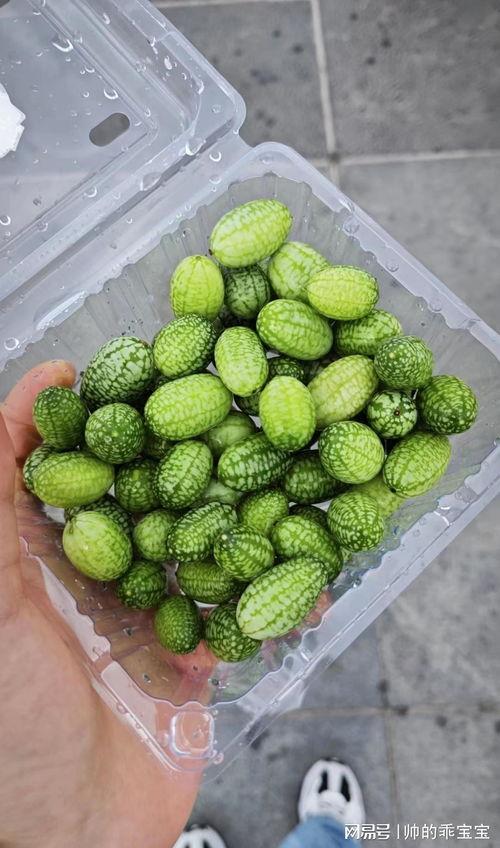 麻瓜可以吃,解锁魔法与现实的味蕾之旅