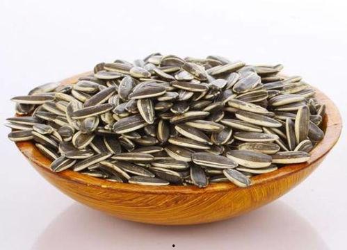 吃瓜子吃瓜丝瓜子丝瓜子,探寻吃瓜子与瓜丝瓜子的奇妙之旅